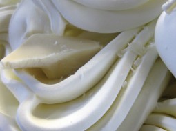 Casa Gelato White Chocolate