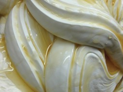 Casa Gelato Yogurt