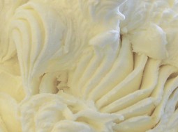 Casa Gelato Vanilla