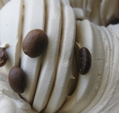 Casa Gelato Cappuccino Freddo