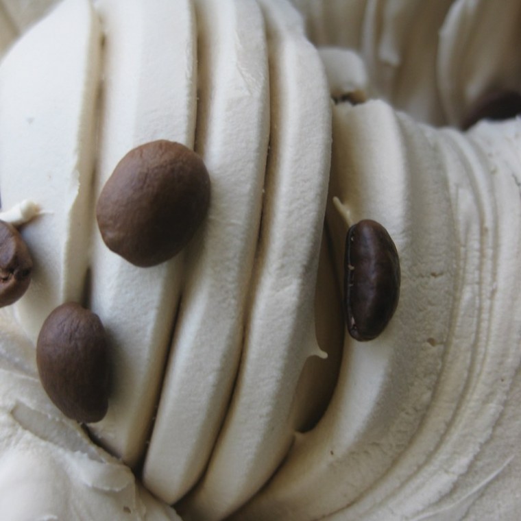 Casa Gelato Cappuccino Freddo